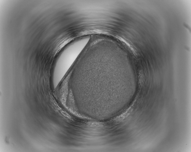 X0000095920921200802011209