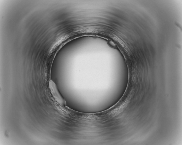 X0000095920922200802011209