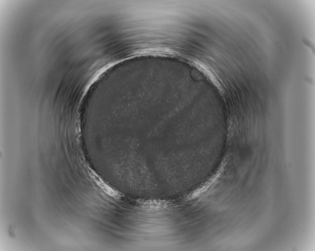 X0000095920923200802011209