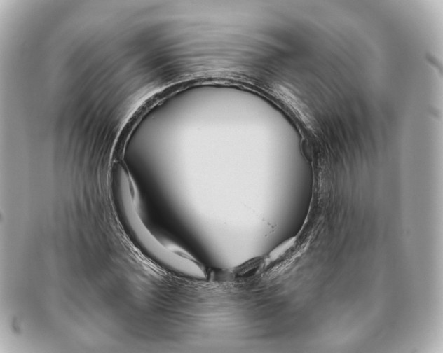 X0000095920924200802011209