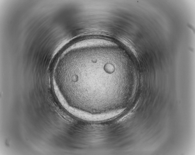 X0000095920925200802011209