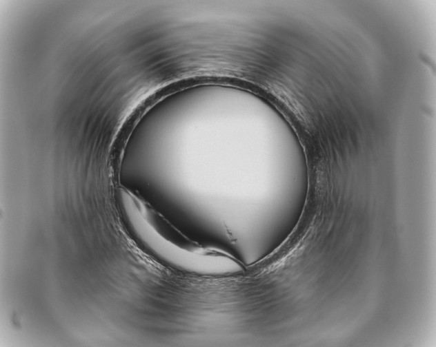 X0000095920926200802011209