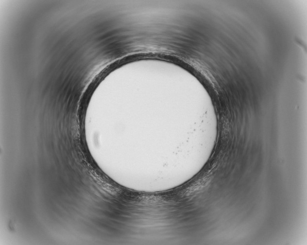 X0000095920927200802011209