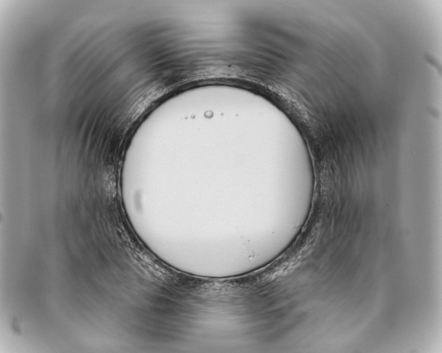 X0000095920929200802011210