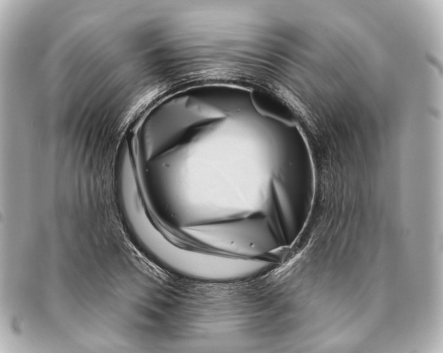 X0000095920930200802011210