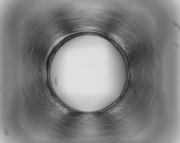 X0000095920931200802011210