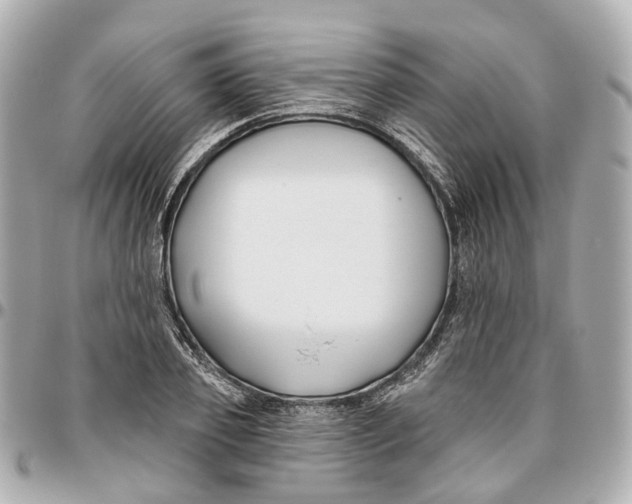 X0000095920933200802011210