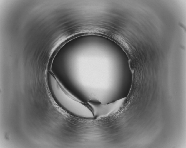 X0000095920936200802011210