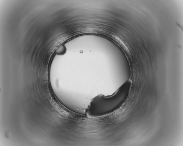 X0000095920938200802011210