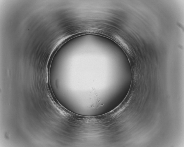 X0000095920940200802011210