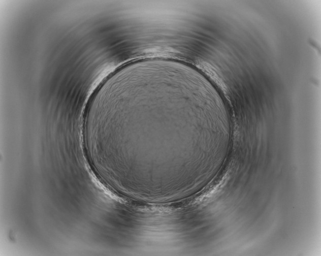 X0000095920941200802011210