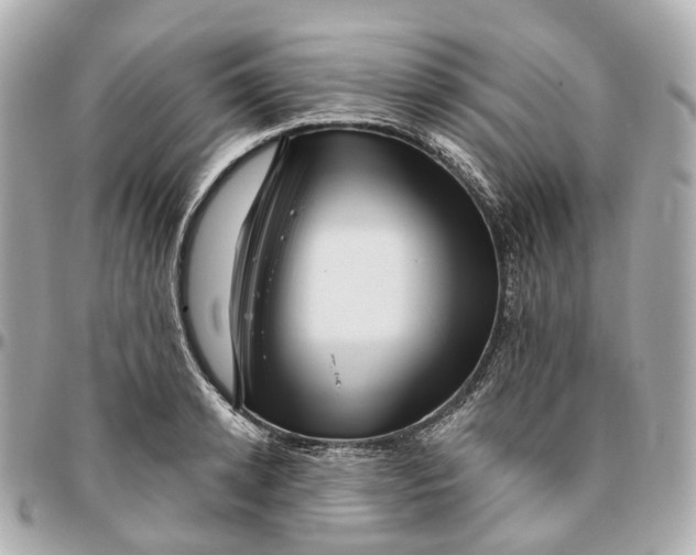 X0000095920942200802011210