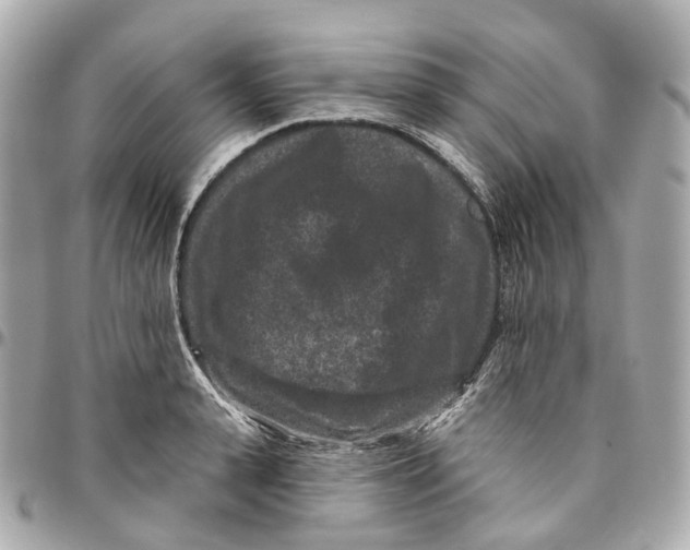 X0000095920943200802011210