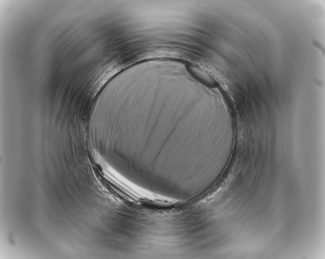 X0000095920945200802011210