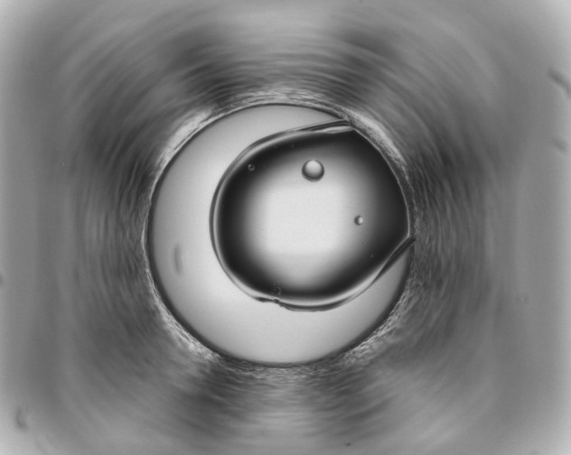 X0000095920946200802011210