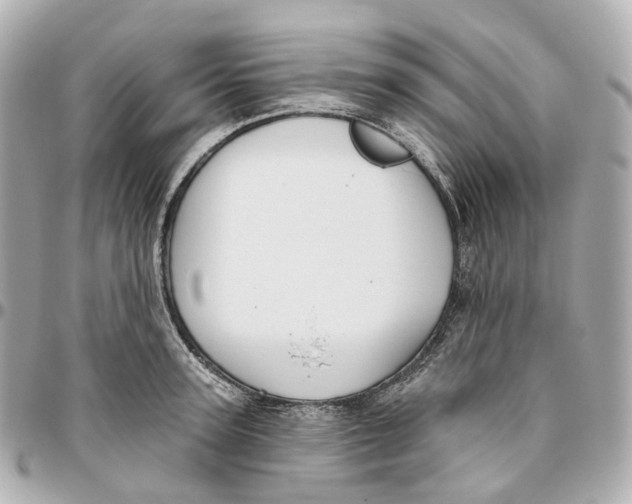 X0000095920947200802011210