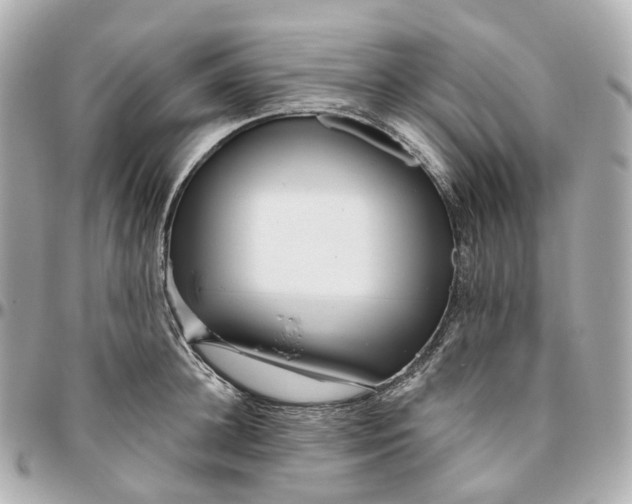 X0000095920948200802011210