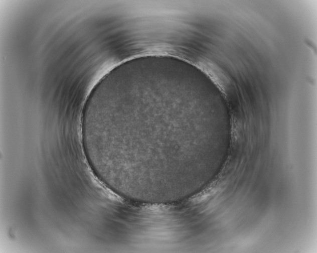 X0000095920950200802011210