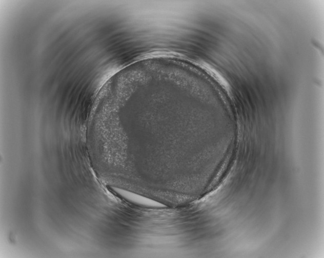 X0000095920953200802011210