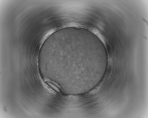 X0000095920954200802011210