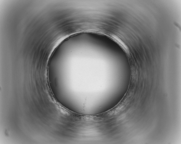 X0000095920956200802011210