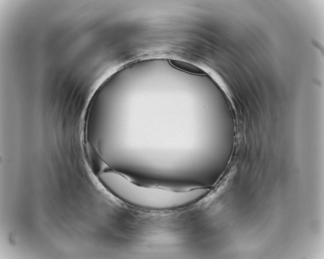 X0000095920957200802011210