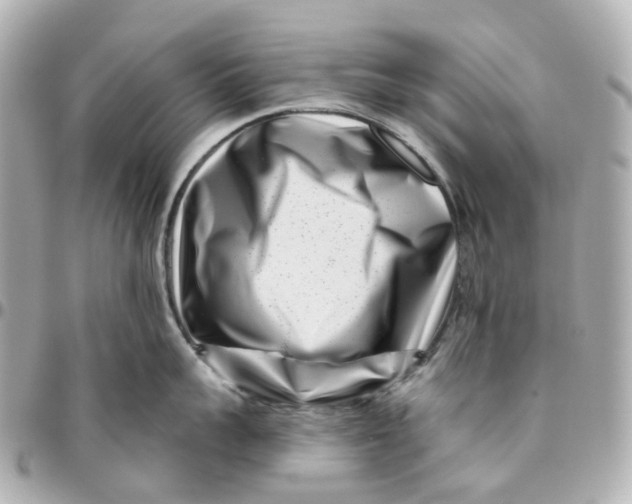 X0000095920959200802011210