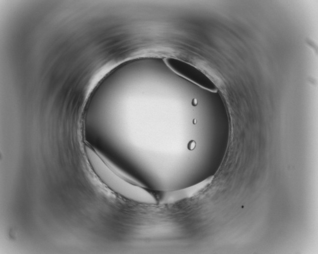 X0000095920960200802011210