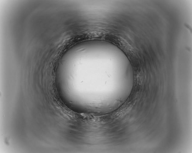 X0000095920961200802011209