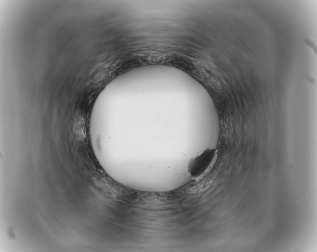 X0000095920962200802011209