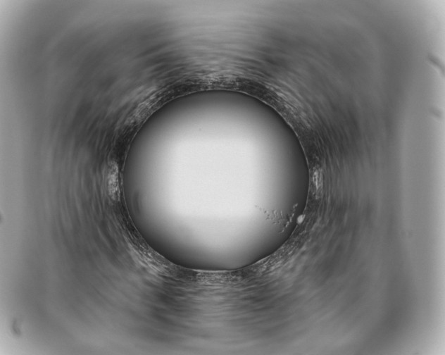 X0000095920963200802011209