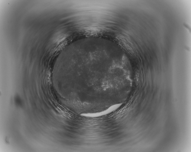 X0000095920964200802011209