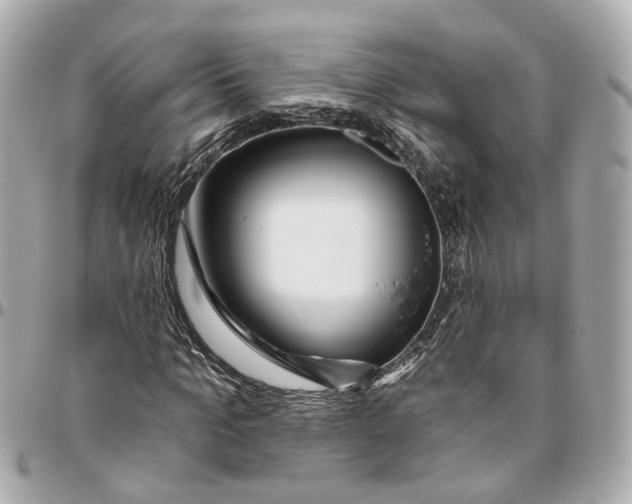 X0000095920965200802011209