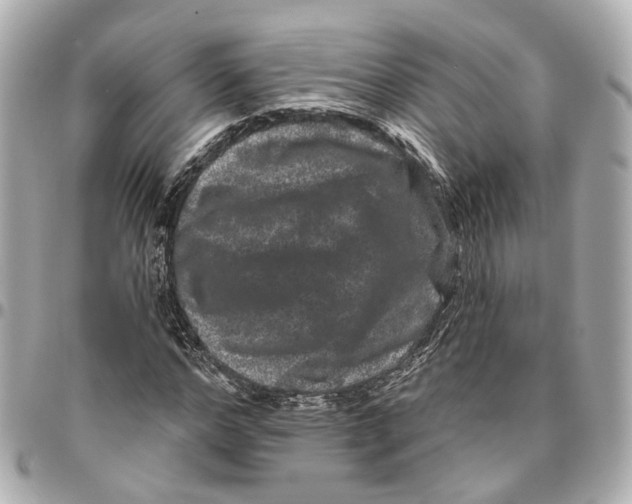 X0000095920968200802011209