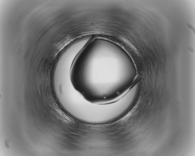 X0000095920969200802011209