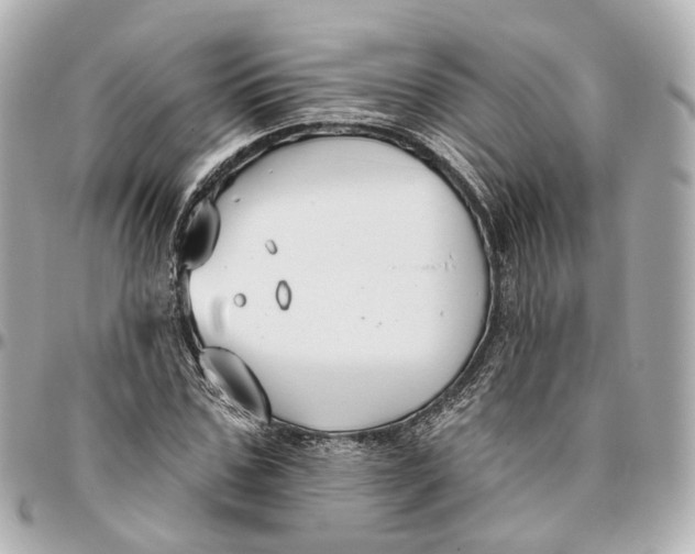 X0000095920971200802011209