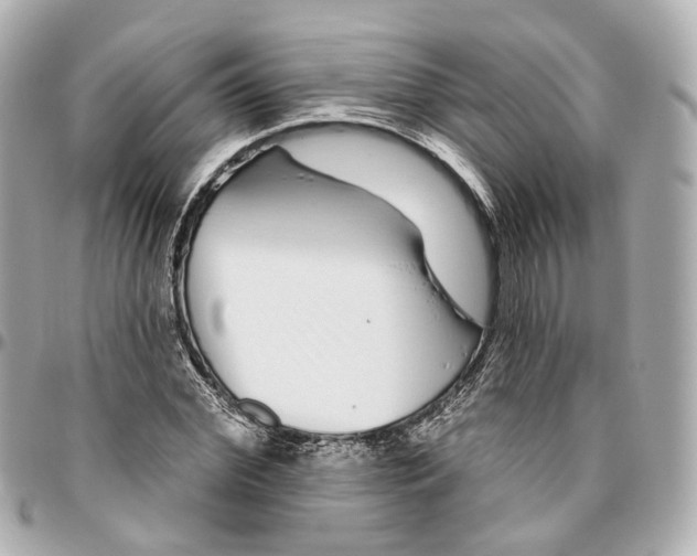 X0000095920972200802011209