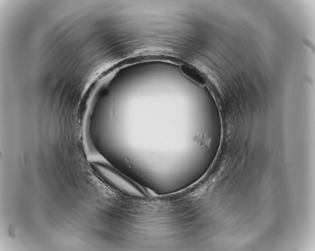 X0000095920973200802011209