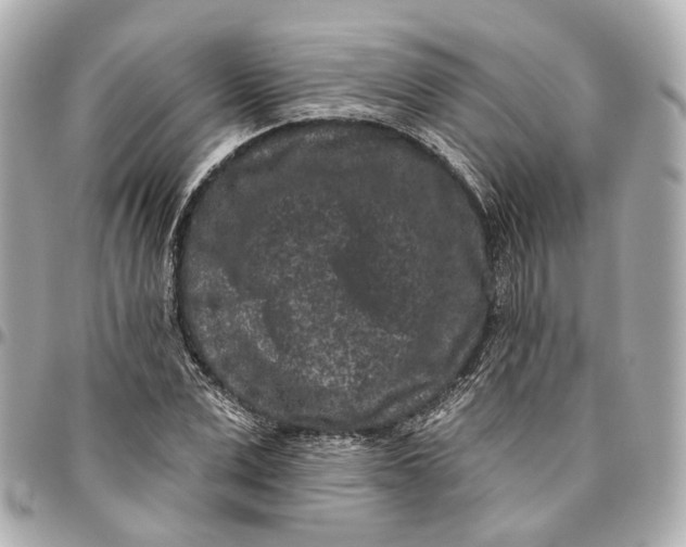 X0000095920975200802011209