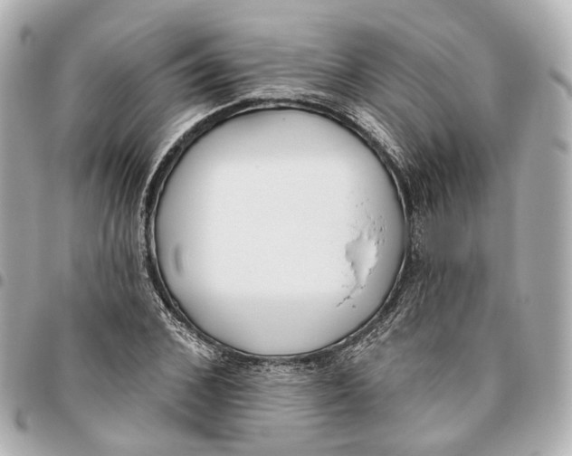 X0000095920976200802011209