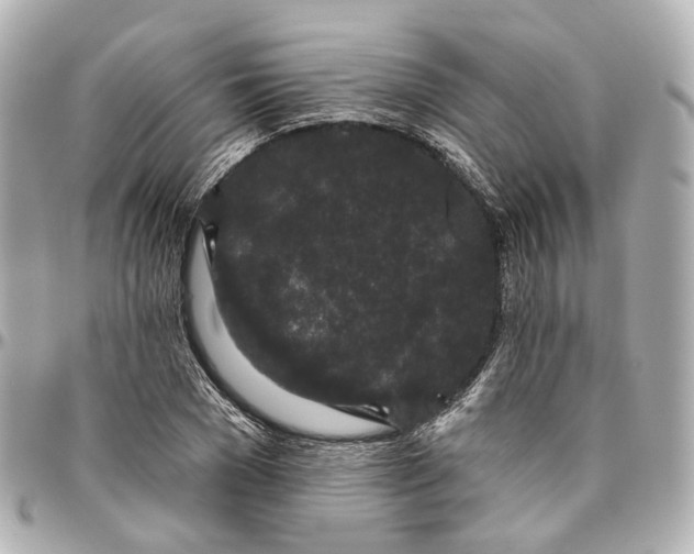 X0000095920977200802011209