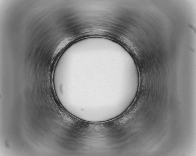 X0000095920978200802011209