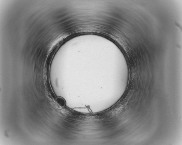 X0000095920979200802011209