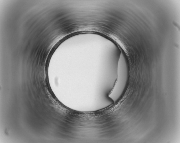 X0000095920980200802011209