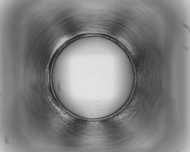 X0000095920982200802011209