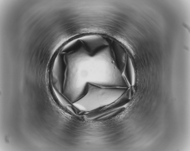 X0000095920983200802011209