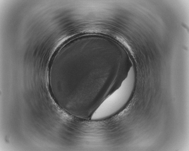 X0000095920984200802011209