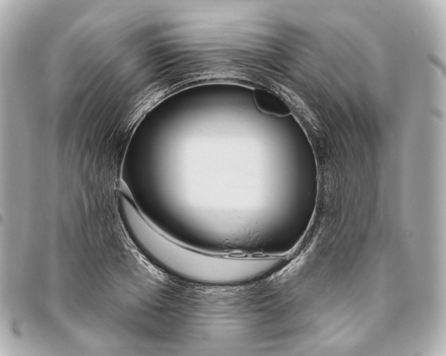 X0000095920985200802011209