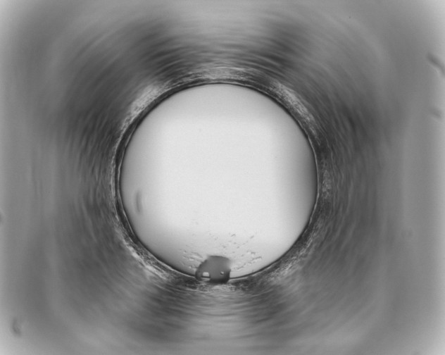 X0000095920986200802011209