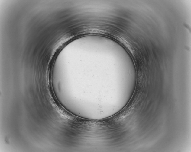 X0000095920987200802011209